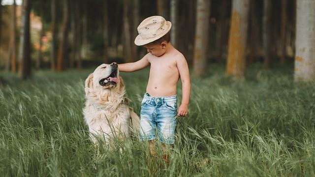 Kids and Dogs: Keys to a Healthy Relationship