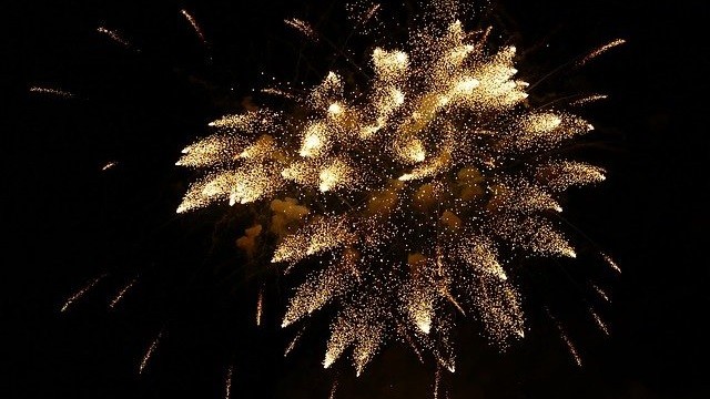 Dogs and Fireworks: New Year’s Eve Pet Safety Tips