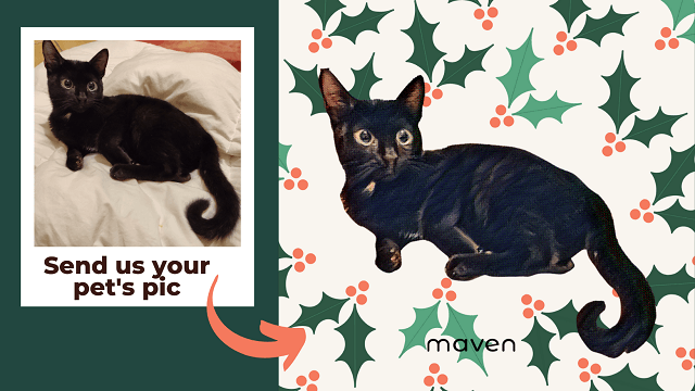 Christmas pet postcard: get your own!