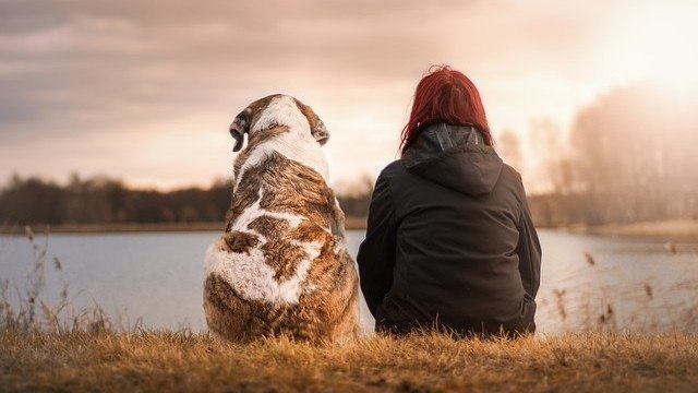 “Man’s Best Friend”: How Dogs Became Our Best Buds
