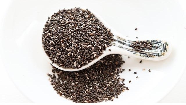 are chia seeds good for dogs