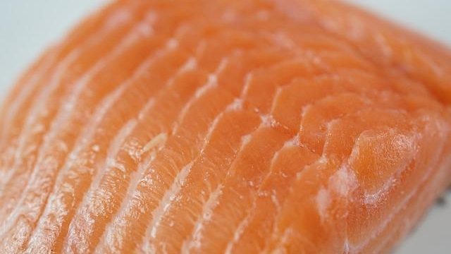 what is salmon poisoning in dogs