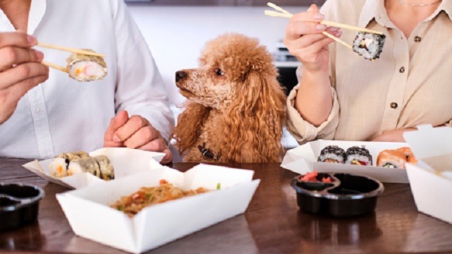 Can Dogs Eat Sushi?