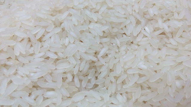 Can dogs eat plain white rice sale