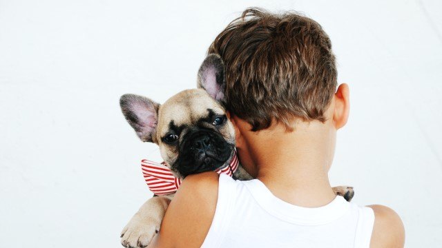 6 Of The Best Dog Breeds for Kids