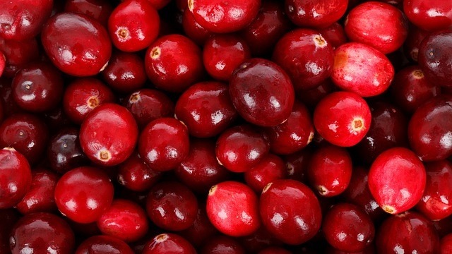 Cranberries poisonous outlet to dogs