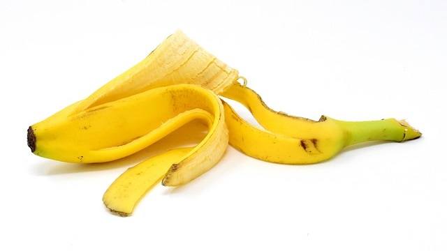 Can Dogs Eat Banana Peels All About Pets a blog by Maven