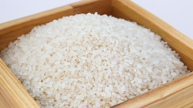 Is white rice good for cats best sale