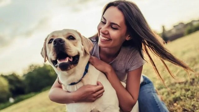 How To Help A Dog Lose Weight: 5 Simple Tips