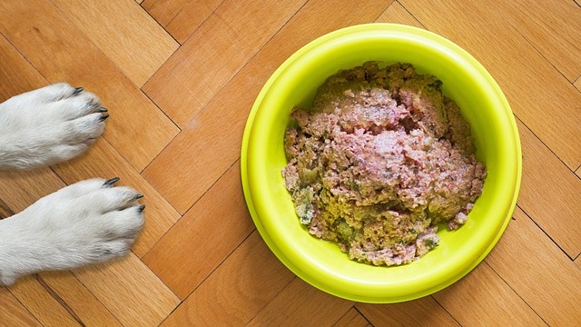 Homemade Dog Food for Skin Allergies: 7 Best Recipes