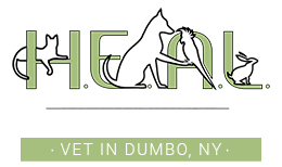 Heal Dumbo