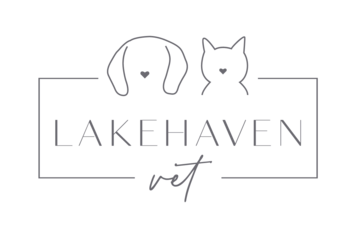 Lakehaven Vet