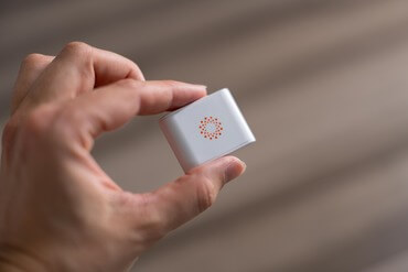 A dog wearing the Maven Pet sensor on its collar